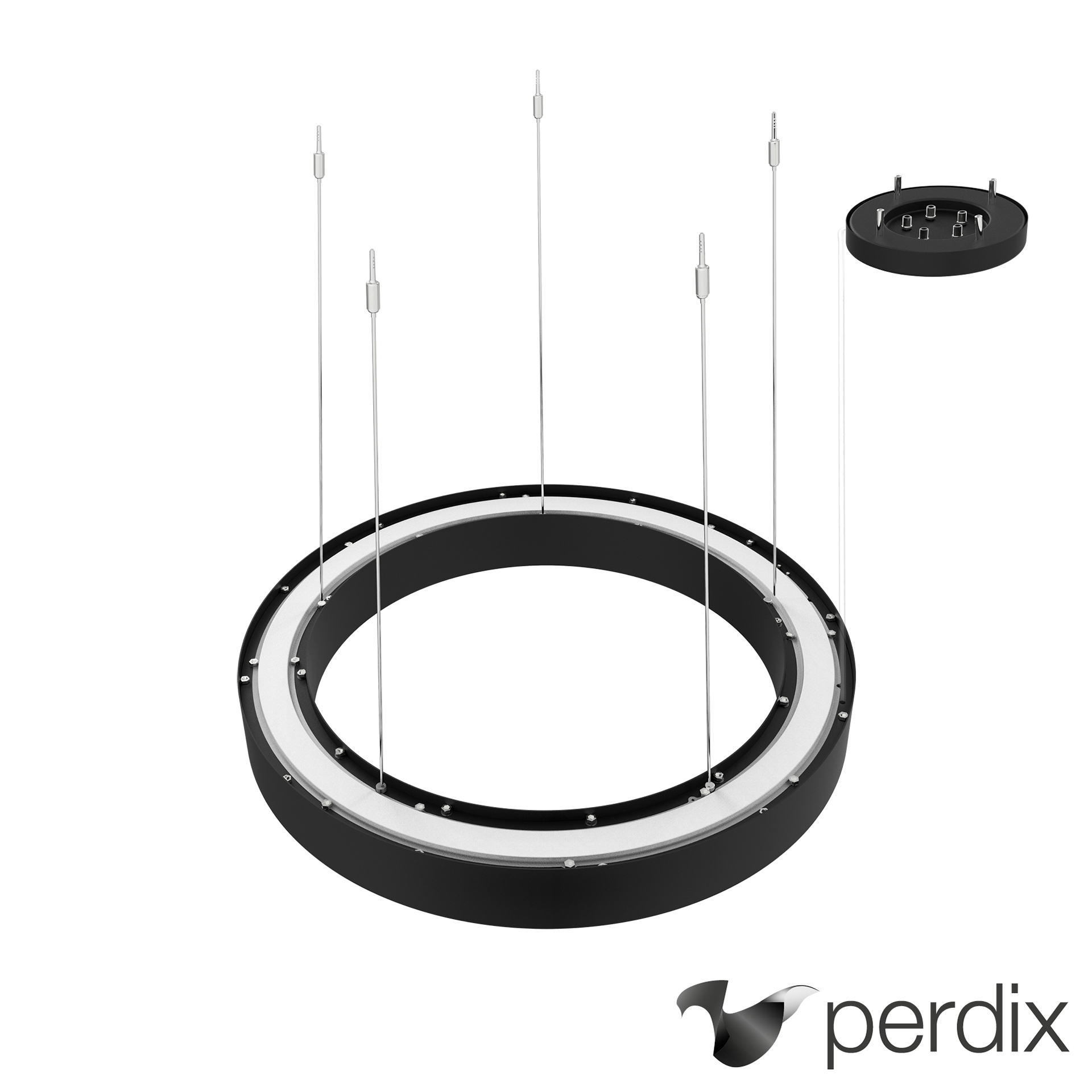 big circle ring ® pendant ø900mm